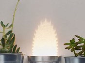 DESIGN Designer Chen Bikovski Creates Cactus Lamp