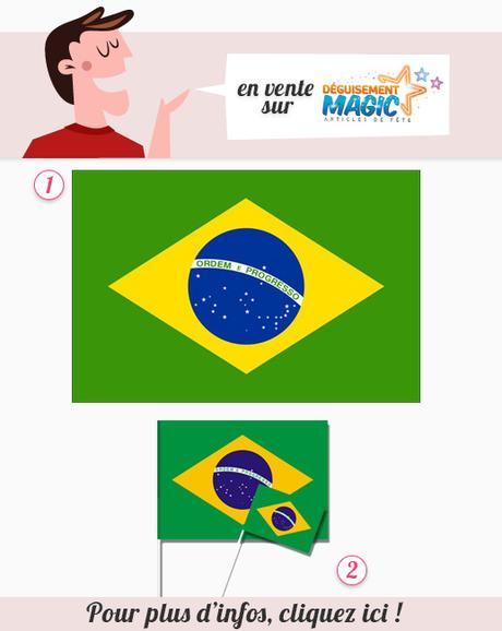 decoration-drapeau-bresilien