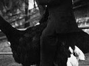 messagers Wolf sauront comment vous trouver. viendront vers vous. êtes vigilant, pourrez rater." Hôtel Receptor