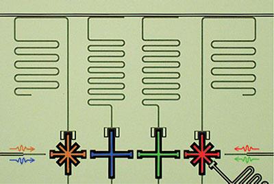 Composite image show the quantum processor