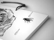 Street-art dessins Olivia Knapp