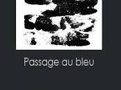 Passage bleu, Brigitte Giraud