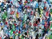 larves pour recycler sacs plastique