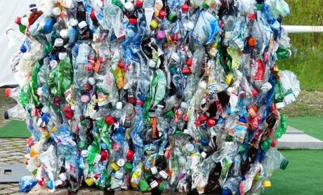Des larves pour recycler les sacs en plastique