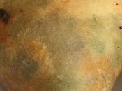 Tandooright fast-good l’indienne (paris