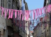 carriero pavesado Campano