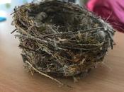 Rester dans parlant Assemblée nationale