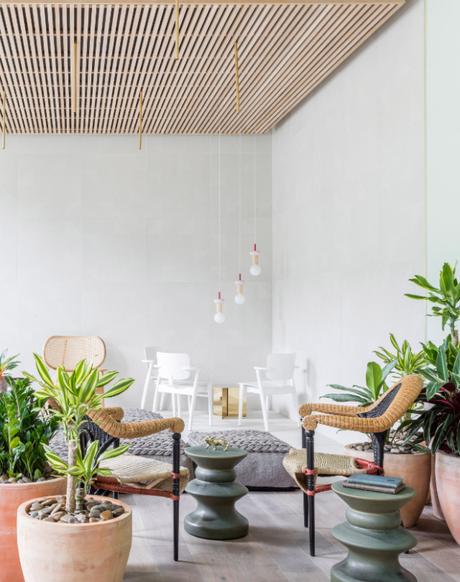 Un hôtel à la décoration tropicale et inspirante