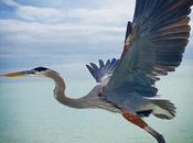 photos lauréates Iphone Photography Awards 2017 sont épatantes