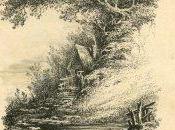 comme Zinzin ChallengeAZ 2017