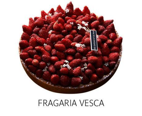 Fragaria Vesca, la création gourmande de Claire Damon
