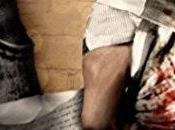 agendas Découvrez Wild Heart Lily Haime juillet