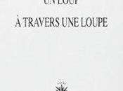 loup travers loupe Ghérasim Luca