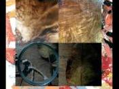 Emmanuel Merle attendent