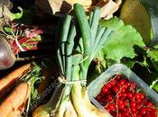 Panier semaine Basket Week