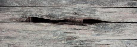 La France dénaturée