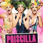 Priscilla la comédie musicale - Priscilla la comédie musicale