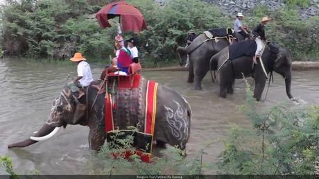Surin, les novices participent a une céremonie de prosperité avec les éléphants (reportage)