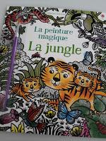 Collection LA PEINTURE MAGIQUE : La jungle - Sous la mer - Les palais des fées