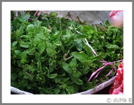Saveurs d’enfance : sirop de menthe fait maison