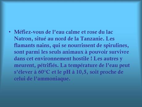 Divers - Les Lacs les plus étrange - 3