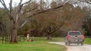 Hollywood Dirt sur PassionFlix: Découvrez quelques caps