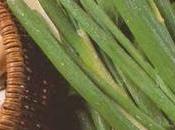 fabuleuse histoire cuisine Française ingrédient irrationnel)