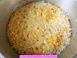 Feuilles de Bourrache farcies aux riz-quinoa-lentilles-millet-navet-roquette (Vegan)
