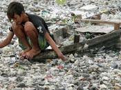 Ceux pensent l'épluchure