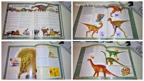 Dinosaures, plus de 250 espèces Chut les enfants lisent