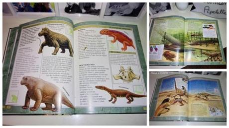 Dinosaures, plus de 250 espèces Chut les enfants lisent