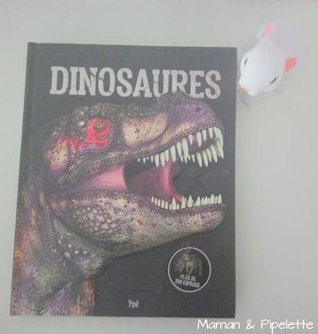 Dinosaures, plus de 250 espèces Chut les enfants lisent