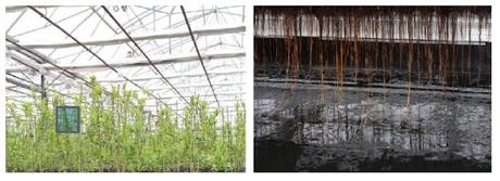 La Région investit plus de 14,5 M€ pour soutenir l’emploi, le développement économique et l’innovation