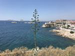 Un week-end à Marseille : que faire ? Nos bonnes adresses