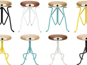 collections Companion Phillip Grass