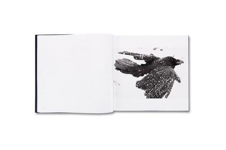 MASAHISA FUKASE – RAVENS
