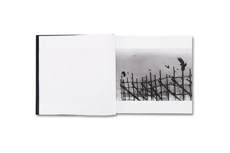 MASAHISA FUKASE – RAVENS