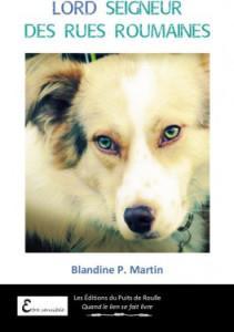 Coup de pouce pour : Quelque chose de bleu de Blandine P. Martin