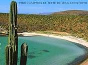 Basse-Californie perle Mexique, photos texte Jean-Christophe Arbonne