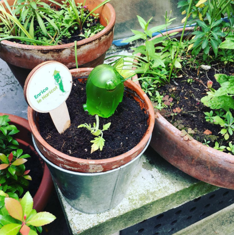 On a testé le Kitkipouss !