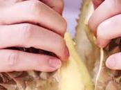 Selon TAT, durian aurait effets hallucinogènes positifs (vidéo)