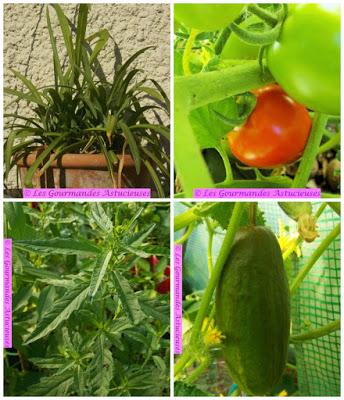 Salade de Haricots noirs au concombre et à la tomate (Vegan)