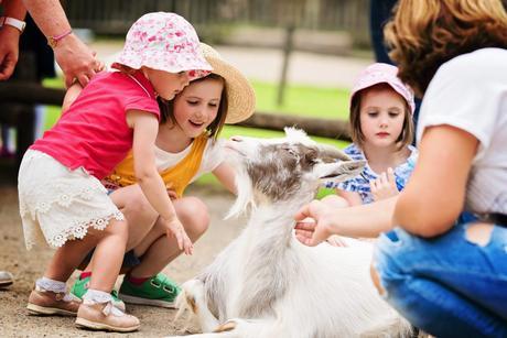 Un petit tour à l'intérieur de la petite ferme ! Les enfants aiment toujours cette proximité avec les animaux ! – à GaiaZOO.