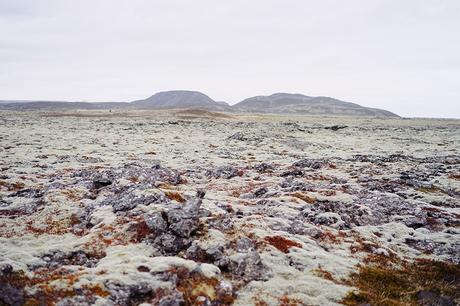 Icelandic treasure : Bioeffect