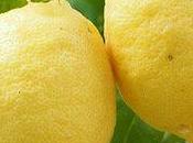 Sauté poulet fermier thym, citron miel toutes fleurs