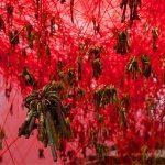 chiharu shiota, state-of-being, biennale-venise, venice, pavillon-japonais, venice-biennal