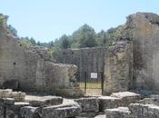 France Rémy Provence