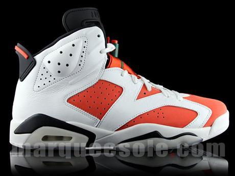 Air Jordan 6 Gatorade