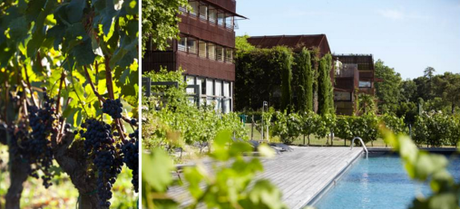 Une Masterclass inédite avec Nicolas Magie, Chef 1étoile du Saint James Bouliac