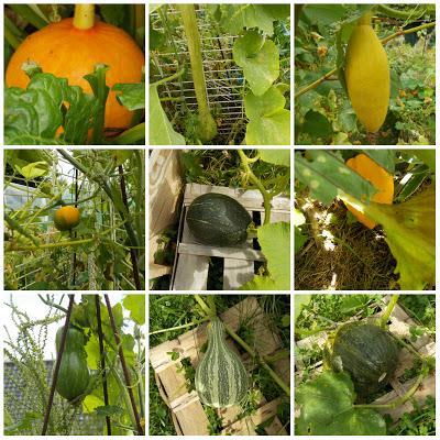 La permaculture sort du jardin pour nous aider à vivre mieux